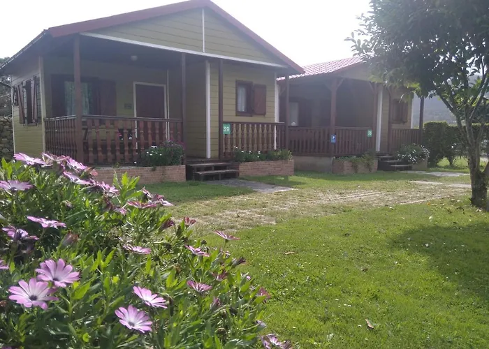 Apartment Complejo La Regalina *